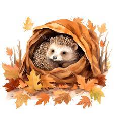 Watercolor Autumn Hedgehog Clipart - Fall Seasonal Decoration Transparent  PNG, Printable Sublimation Design for Crafting and DIY Projects - Etsy |  Illustration, Clip art, Drawing and illustration