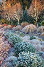 30 Wonderful Winter Garden Design Ideas That You Will Miss Now In 2020 Winter Garden Garden Design Winter Plants