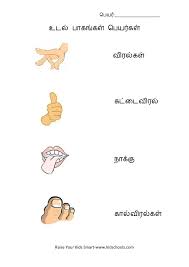Learn and practice at your own pace. Tamil Body Parts Name Worksheet 3 Kidschoolz