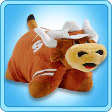 Pin By Katt Curtis On Classroom Ideas Animal Pillows Longhorn Pets