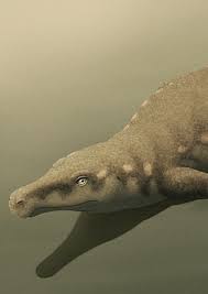 Image result for Proterosuchus