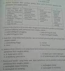 Hal yang perlu di perhatikan. Tolongin Yaaaa Poinnya 10 Loh 3 Berikut Termasuk Akhir Gerakan Prinsip Dasar Servis Forehand Brainly Co Id