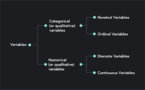 Discrete & Continuous Variables With Examples | Outlier