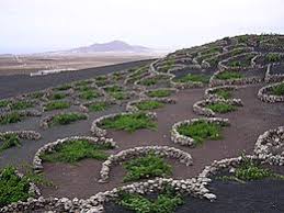 Lanzarote is a spanish island, the northernmost and easternmost of the autonomous canary islands in the atlantic ocean. Lanzarote Wikipedia