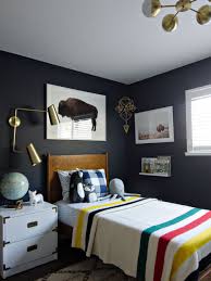 Buffalo Prints Framebridge The Vintage Rug Shop Grey Bedroom Decor Wall Decor Bedroom Boy Bedroom Design