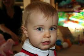 David Johndrow's Photo Galleries at pbase.com