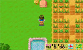 — falling in love is one of the most memorable moments in any harvest moon game. Harvest Moon Friends Of Mineral Town Basket Basket Poster