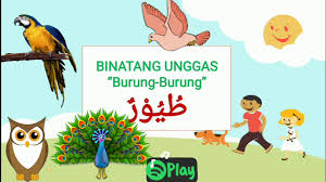 Barang siapa terbiasa dengan sesuatu, pasti dia akan menjadi ahlinya. jadi, jika anda ingin bisa menguasai bahasa arab (mahir dan jago), maka tidak ada jalan lain kecuali mencoba mempraktekkannya dalam keseharian, dengan. Lagu Nama Nama Burung Dalam Bahasa Arab Youtube