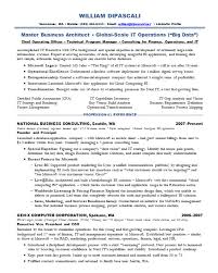 resume samples it big data