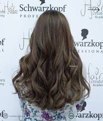 Medium Chestnut Ash Brown With Dark Ash Blonde Shade Hairideas Haircolor Idea Brown Hair With Highlights Brown Hair With Blonde Highlights Brown Ombre Hair