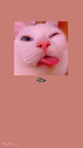 Wallpaper Cat Cartoon Wallpaper Wallpaper Iphone Cute Aesthetic Iphone Wallpaper