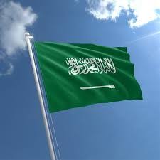 Saudi Arabia Flag Bendera Bra