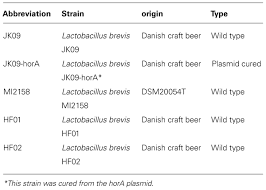 Frontiers In Situ Examination Of Lactobacillus Brevis After Exposure To An Oxidizing Disinfectant Microbiology