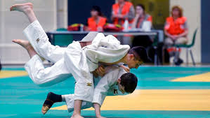 Judo La Haute Garonne Fait Un Carton Ladepeche Fr