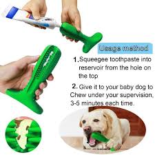 Nice Dental Bridge Healthy Teeth Teethwhiteningservice Dentalsurgeryfooddentists Dog Toothbrush Puppy Dental Care Puppy Dental