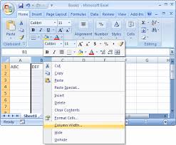 ms excel 2007 change the width of a column