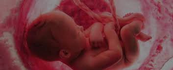 The cord blood is collected after the baby is born and after any delayed cord clamping. Why Umbilical Cord Blood Banking Is Important Bioscience Institute
