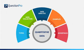 Theoretical research uses qualitative method and includes studying of theory and other research. Quantitative Data Definition Types Analysis And Examples Questionpro