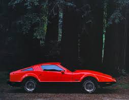 Image result for Safety Red 1976 Bricklin