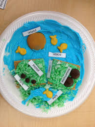 Pin By Kelli Wood On 2nd Grade Science Kindergarten Social Studies Teaching Landforms 3rd Grade Social Studies