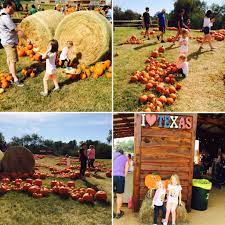 Barton Hill Farms Fall Festival And Corn Maze Review Local Austin Tx Follow Me On Www Mommasbacon Com Fall Festival Pumpkin Farm Farm