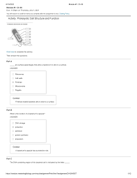 Which structures are unique to plant cells? Final 07 2020 Questions And Answers Module Ch 06 Due 11 59pm On Thursday July 2021 You Will Receive No Credit For Items You Complete After The Assignment Is Studocu
