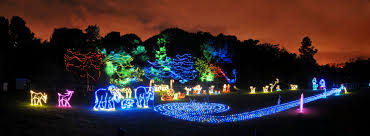 Holiday Zoo Lights Roundup Drive The Nation Zoo Lights Holiday Zoo Holiday