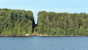The canada border services agency (cbsa) is committed to the safety and security of residents of canada. Why Is There A Slash In The Trees At The U S Canada Border Tourism Seven Days Vermont S Independent Voice