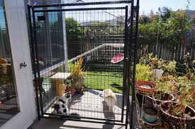 I built this catio a few years ago because i had a couple of adventurous kitties who hated here is their kitty door, installed into the basement window. I Designed And Built My Dream Catio And You Can Too Catster