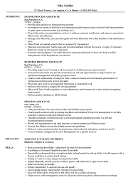 Process Associate Resume Samples Velvet Jobs