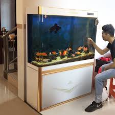 🛒 buy hillstream loaches at. Usd 353 48 Yanjiang Fish Tank Aquarium Living Room Home Large Scale Simple Modern Intelligent Exchange Water Lazy Bullet Goldfish Tank Wholesale From China Online Shopping Buy Asian Products Online From The
