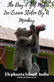 The Day I Got My Ice Cream Stolen By A Monkey Adventure Planning Travel Stories Asia Travel