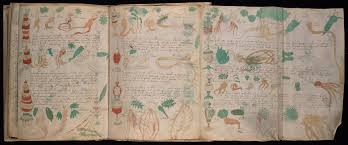 Resultado de imagen para voynich manuscript