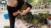 Diy windlicht mit heidekraut selber machen. Wichtel Aus Tanne Und Moos Einfach Selber Machen Youtube
