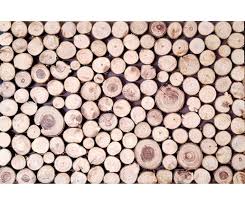 Duvar kaplama fiyatları dekorasyon & aydınlatma kategorisinde! Agac Duvar Kaplama Paneli Agac Kaplama Panel Duvarpaneli