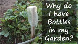 Next, cut the bird netting to fit the bed, secure one edge with landscape staples and stretch the netting taut over the masonry ladder hoops. A Garden Hack How To Make Your Bird Netting Glide Our Stoney Acres
