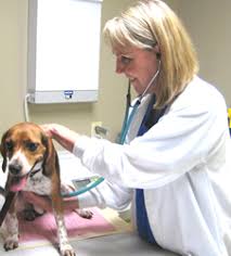 Maybe you would like to learn more about one of these? Arkansas Browning Animal Clinic Veterinarian In Arlington Tx Us Meet Our Team Arkansas Browning Animal Clinic Veterinarian In Arlington Tx Us