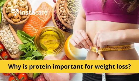 Why is protein important for weight loss?