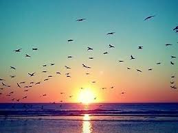 Earline Barber Obituary