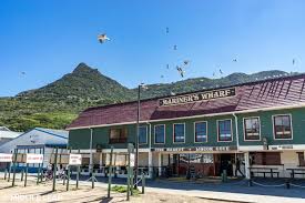 Cost zar385 for two people (approx.) Hout Bay Local Guides Harbor Road Hout Bay Harbor Cape Town South Africa