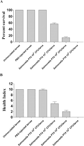 My head & my heart (claptone mix)ava max. The Virulence Of Salmonella Enteritidis In Galleria Mellonella Is Improved By N Dodecanoyl Homoserine Lactone Sciencedirect