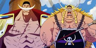 Edward Weevil | One Piece Wiki | Fandom