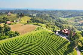 Taverna Kupljen Jeruzalem Ivanjkovci Restaurant Bewertungen Telefonnummer Fotos Tripadvisor