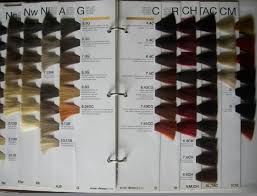 Blunabagpreg Hair Color Chart Redken