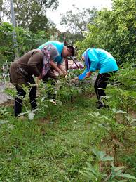 Jawatan kosong terkini kolej petugas pemulihan dalam komuniti (pdk) harapan jabatan kebajikan masyarakat. Pertubuhan Pemulihan Dalam Komuniti Ppdk Sinar Harapan Di Bandar Shah Alam