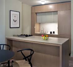 They do not fit into one niche. 20 Dashing And Streamlined Modern Condo Kitchen Designs Home Design Lover
