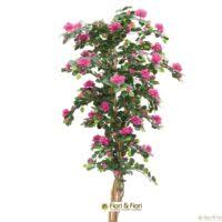 Le piante finte da interno sono inoltre un'ottima alternativa alle piante vere per i soggetti allergici o sensibili al polline. Piante Finte Da Interno E Da Esterno In Tessuto Di Ottima Qualita