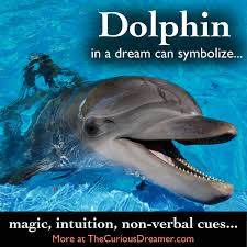Dolphin Dream Symbol In The Curious Dreamer Dream Dictionary Dolphin Facts Dolphins Baby Dolphins