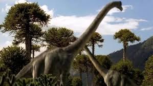 прогулки с динозаврами ввс все серии онлайн в хорошем качестве Progulki S Dinozavrami 759 Video Najdeno V Yandeks Video