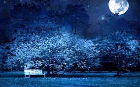 Retro style with vintage color tone. A Blue Night Isnt It Beautiful Infinitheism Full Moon Night Blue Tree Nature Wallpaper